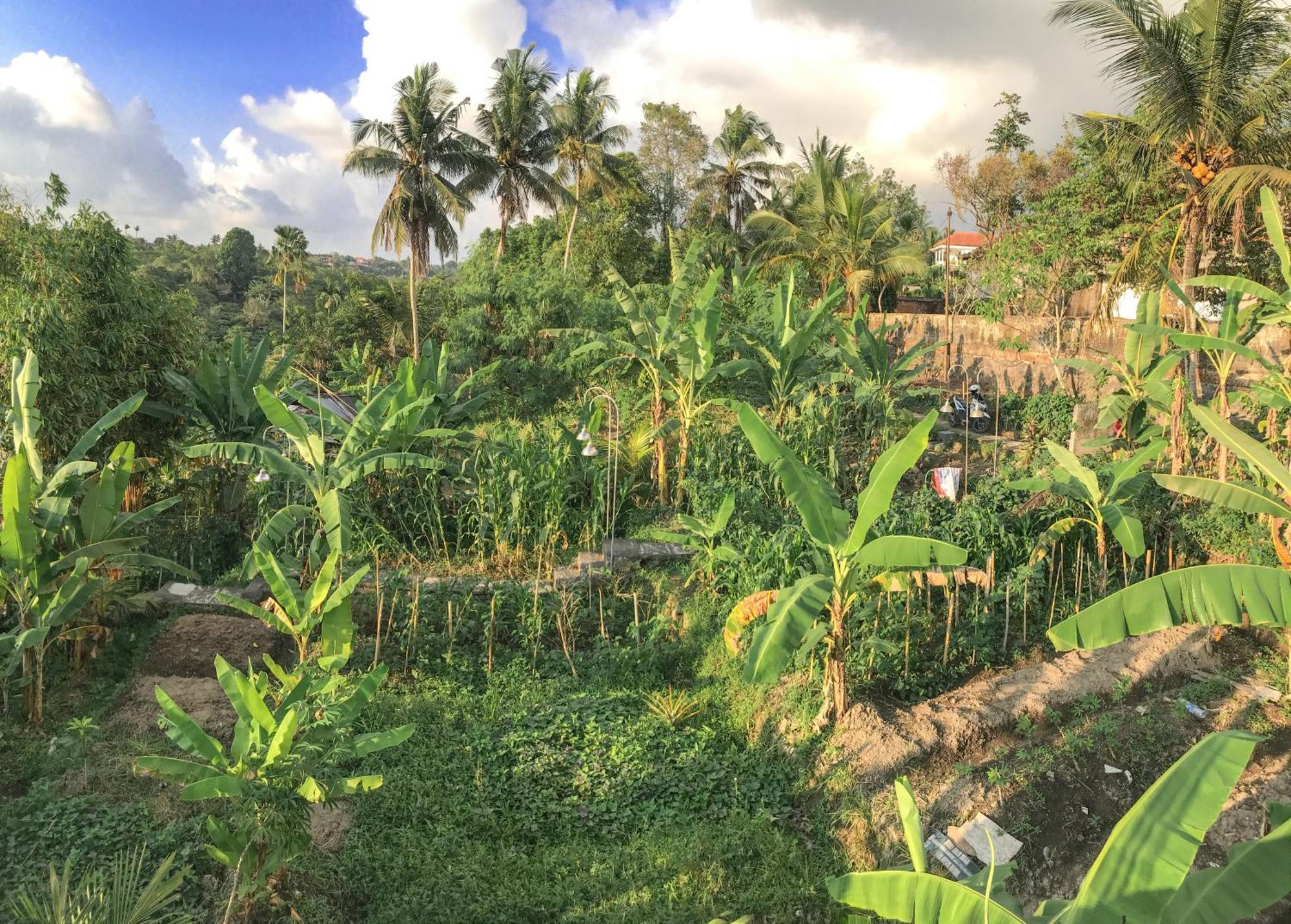 Heri House Gasthof Ubud